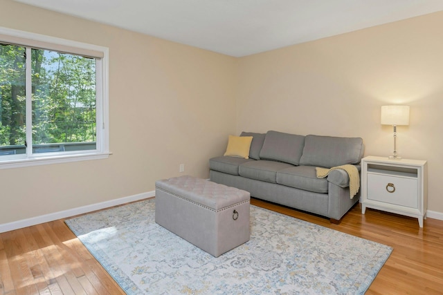 623 Heritage Hls Unit B, Somers, NY 10589 - living room with baseboards and wood finished floors