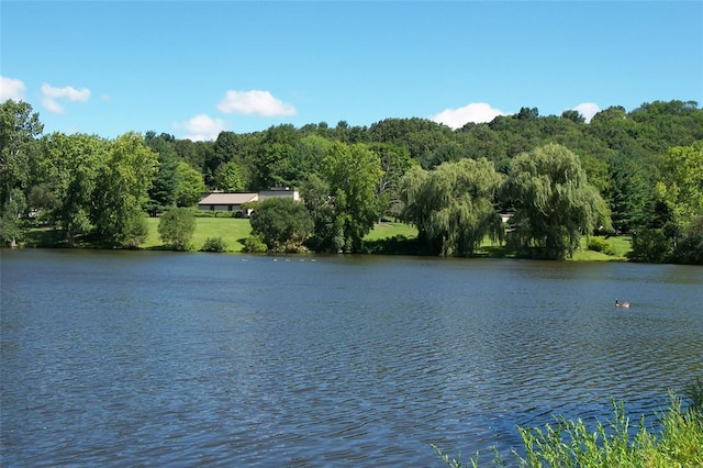 623 Heritage Hls Unit B, Somers, NY 10589 - water view with a forest