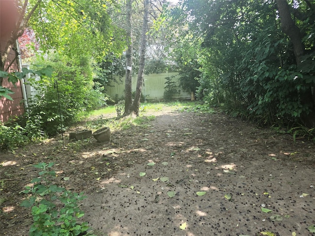 27 Leo Ln, Deer Park, NY 11729 - view of local wilderness