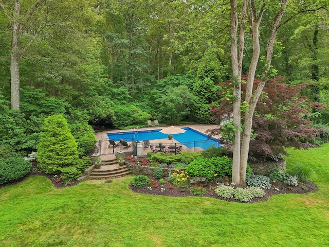 23 Alpine Way S, Huntington, NY 11746 - swimming pool with a wooded view