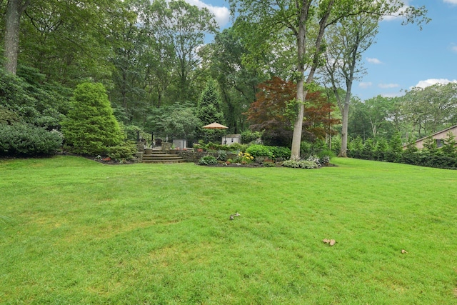 23 Alpine Way S, Huntington, NY 11746 - view of green lawn