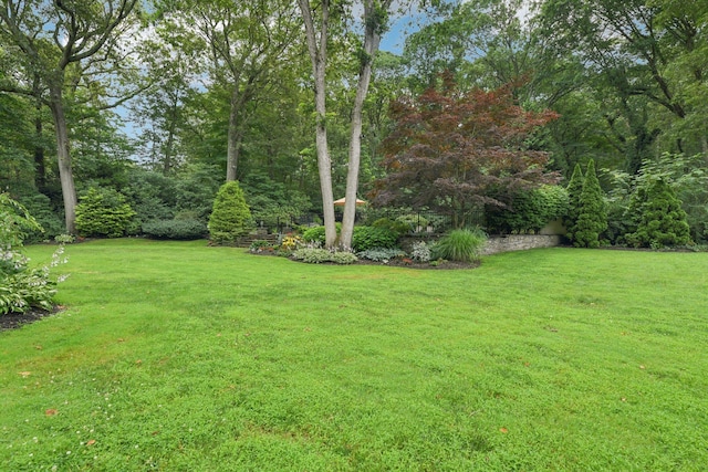23 Alpine Way S, Huntington, NY 11746 - view of grassy yard