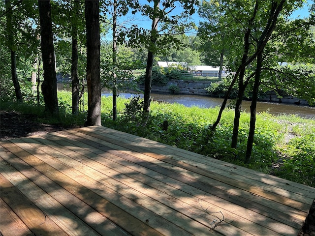 36 River St, Livingston Manor, NY 12758 - wooden terrace featuring a water view