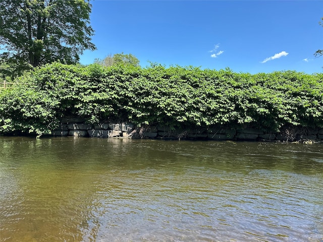 36 River St, Livingston Manor, NY 12758 - water view