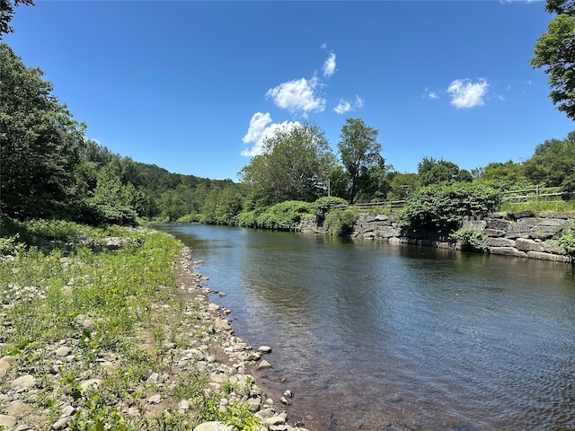 36 River St, Livingston Manor, NY 12758 - water view with a forest