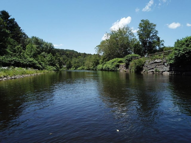 36 River St, Livingston Manor, NY 12758 - water view with a forest