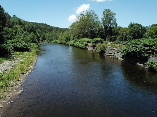 36 River St, Livingston Manor, NY 12758 - water view featuring a heavily wooded area