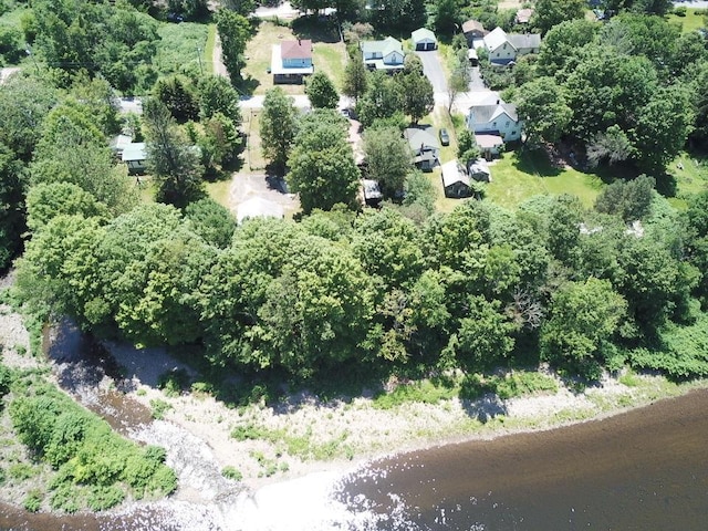 36 River St, Livingston Manor, NY 12758 - aerial view of property's location