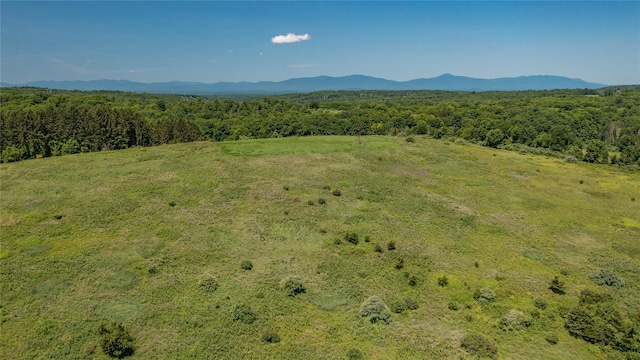 151 Rowe Rd, Red Hook, NY 12571 - view of mountain backdrop featuring a heavily wooded area