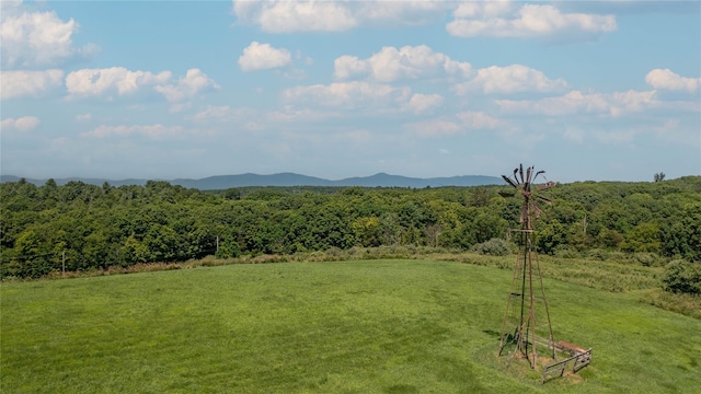 151 Rowe Rd, Red Hook, NY 12571 - view of mountain background featuring a heavily wooded area