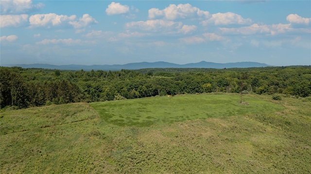 151 Rowe Rd, Red Hook, NY 12571 - view of mountain backdrop with a forest