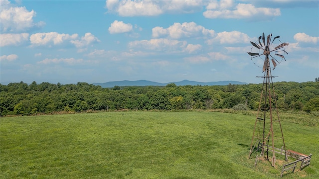 151 Rowe Rd, Red Hook, NY 12571 - view of mountain backdrop with a forest