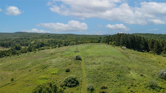 151 Rowe Rd, Red Hook, NY 12571 - drone / aerial view of a forest