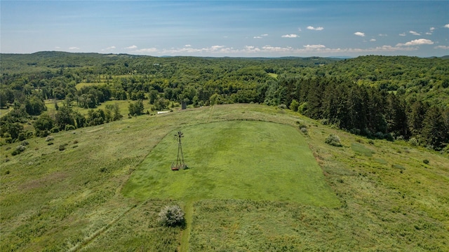 151 Rowe Rd, Red Hook, NY 12571 - drone / aerial view of a heavily wooded area