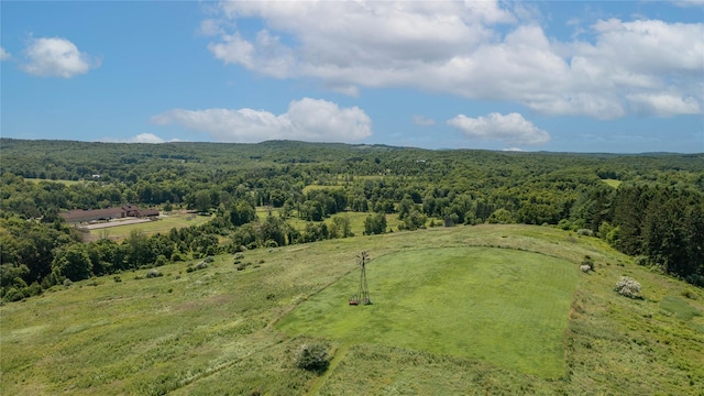 151 Rowe Rd, Red Hook, NY 12571 - bird's eye view of a forest
