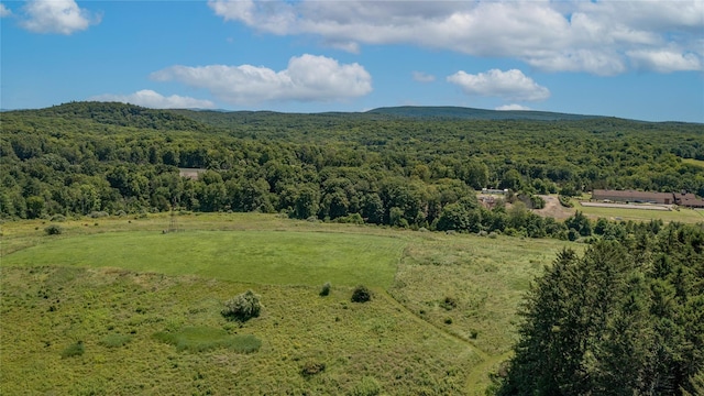 151 Rowe Rd, Red Hook, NY 12571 - view of rural area with a heavily wooded area