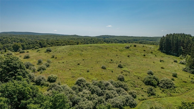 151 Rowe Rd, Red Hook, NY 12571 - view of mountain backdrop featuring a forest