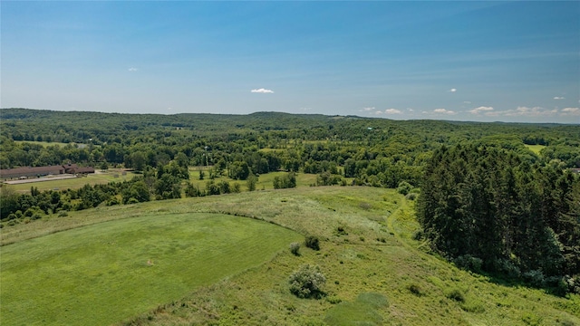 151 Rowe Rd, Red Hook, NY 12571 - aerial view of a forest