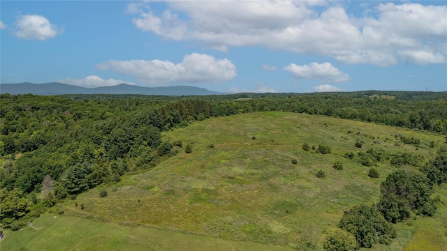 151 Rowe Rd, Red Hook, NY 12571 - drone / aerial view of a heavily wooded area and a mountain backdrop