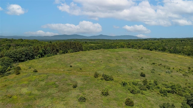 151 Rowe Rd, Red Hook, NY 12571 - view of mountain background with a heavily wooded area