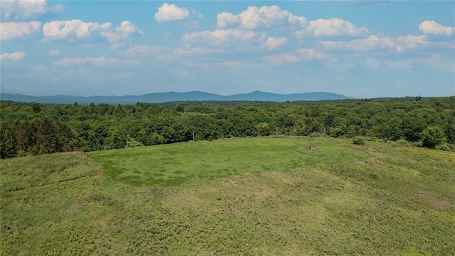 151 Rowe Rd, Red Hook, NY 12571 - mountain view featuring a heavily wooded area