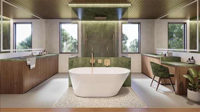 151 Rowe Rd, Red Hook, NY 12571 - bathroom featuring healthy amount of natural light, a freestanding bath, vanity, a stall shower, and wooden ceiling