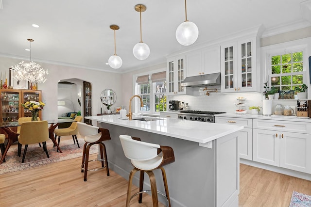 90-01 68th Ave, Forest Hills, NY 11375 - kitchen featuring under cabinet range hood, light wood-type flooring, healthy amount of natural light, crown molding, and tasteful backsplash