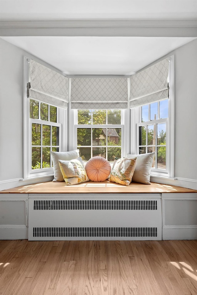 90-01 68th Ave, Forest Hills, NY 11375 - sunroom featuring radiator heating unit and healthy amount of natural light