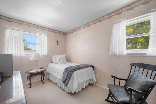 27 Douglass St, Brentwood, NY 11717 - photo 17