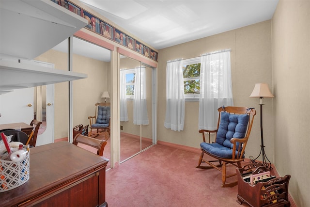 27 Douglass St, Brentwood, NY 11717 - photo 19