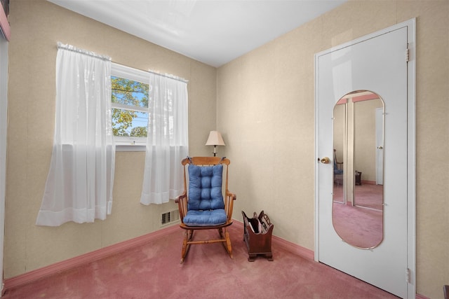 27 Douglass St, Brentwood, NY 11717 - photo 20
