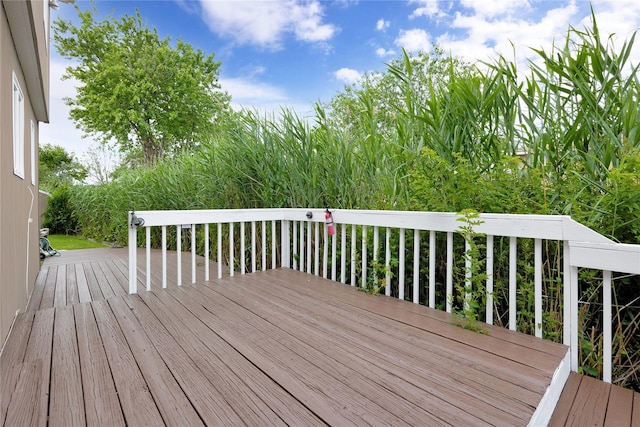 810 Anthony Dr, Lindenhurst, NY 11757 - photo 33