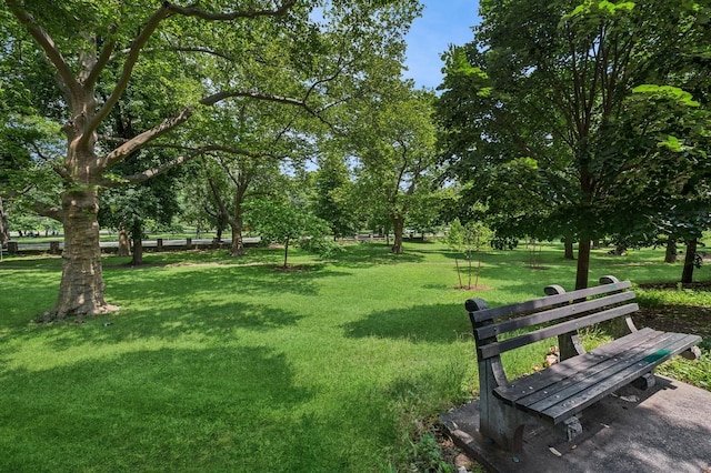 306 E Mosholu Pkwy S Unit 3D, Bronx, NY 10458 - view of community with a lawn