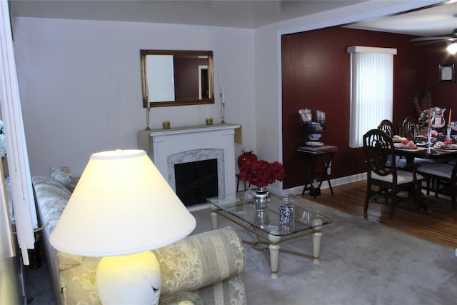 24 Garnet Pl, Elmont, NY 11003 - photo 16