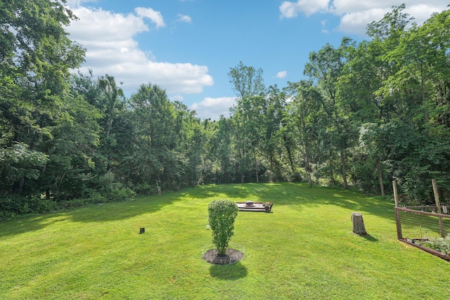 24 Wild Turkey Run, Wappingers Falls, NY 12590 - view of green lawn