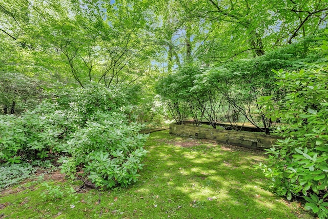 15 Carol Ct, Dix Hills, NY 11746 - view of yard