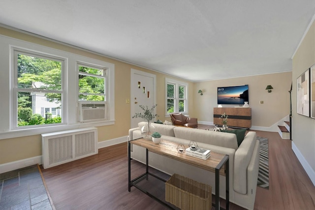 23 Jackson Ave, White Plains, NY 10606 - living room featuring radiator heating unit, cooling unit, and wood finished floors