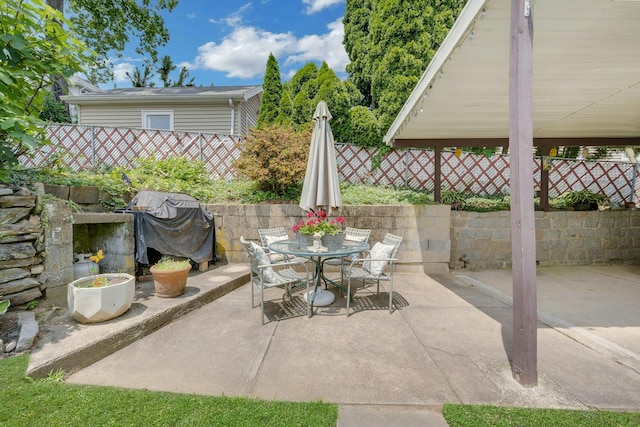 23 Jackson Ave, White Plains, NY 10606 - view of patio with grilling area and outdoor dining space