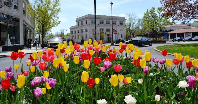 1133 Midland Ave Unit 1K, Yonkers, NY 10708 - view of home's community