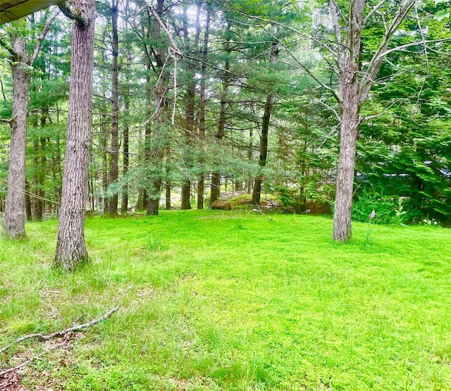 94 Sickle Rd, Wurtsboro, NY 12790 - view of grassy yard