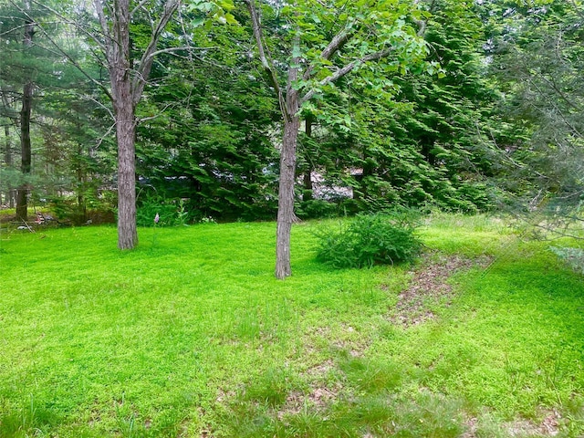 94 Sickle Rd, Wurtsboro, NY 12790 - view of grassy yard