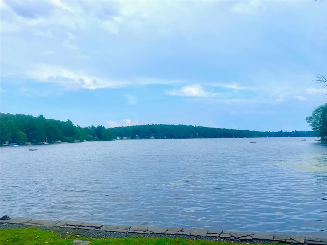 94 Sickle Rd, Wurtsboro, NY 12790 - water view