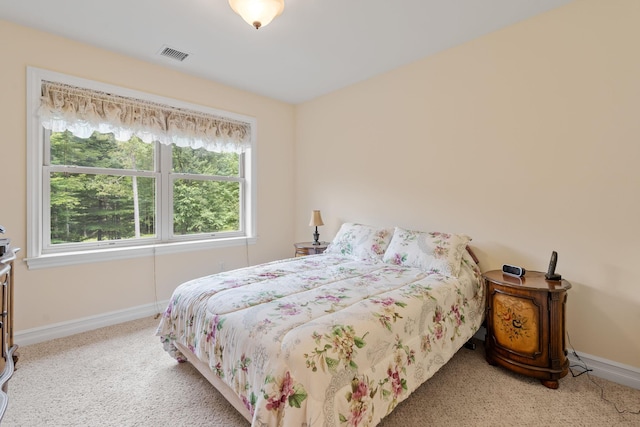 50 Meghan Ct, Pine Bush, NY 12566 - photo 22