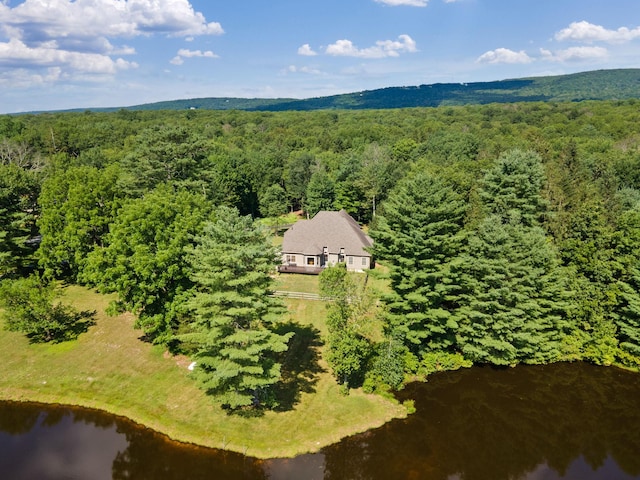 50 Meghan Ct, Pine Bush, NY 12566 - photo 44
