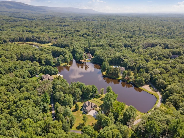 50 Meghan Ct, Pine Bush, NY 12566 - photo 47