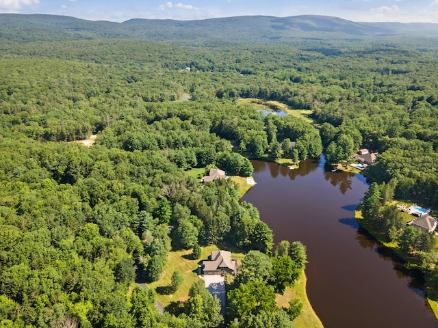 50 Meghan Ct, Pine Bush, NY 12566 - photo 48