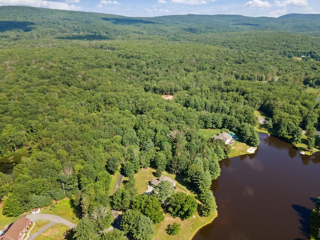 50 Meghan Ct, Pine Bush, NY 12566 - photo 49