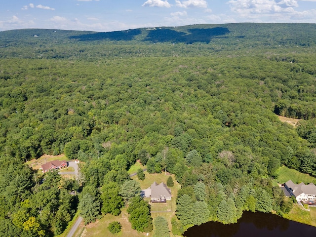 50 Meghan Ct, Pine Bush, NY 12566 - photo 50