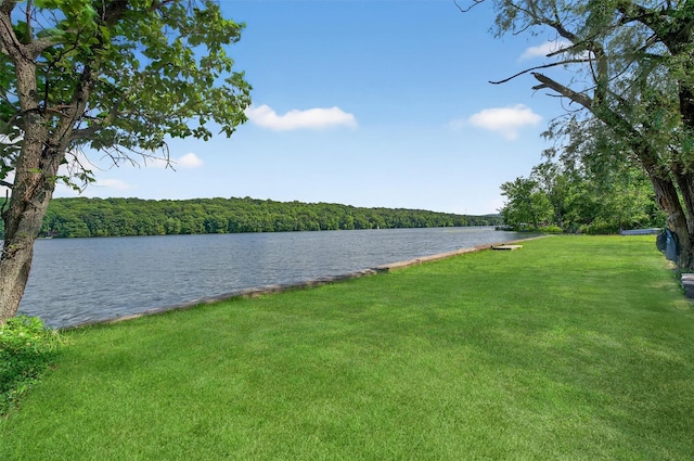 12 Lake Region Blvd, Monroe, NY 10950 - water view with a forest
