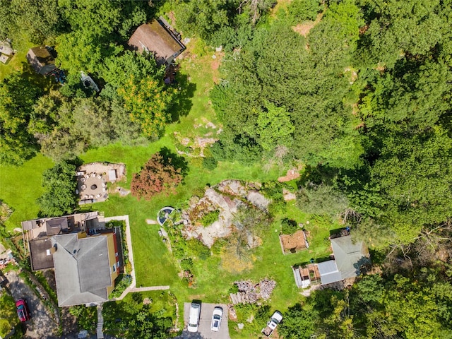 123 Pleasant Rd, Lake Peekskill, NY 10537 - drone / aerial view